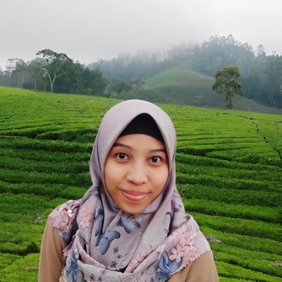 Penulis Member