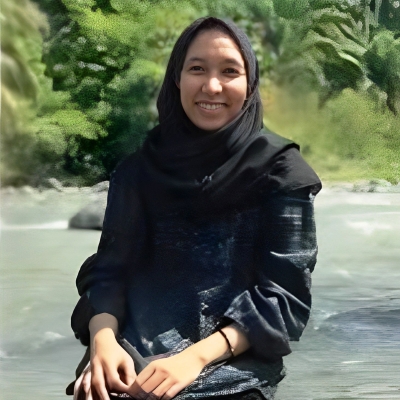 Penulis Member